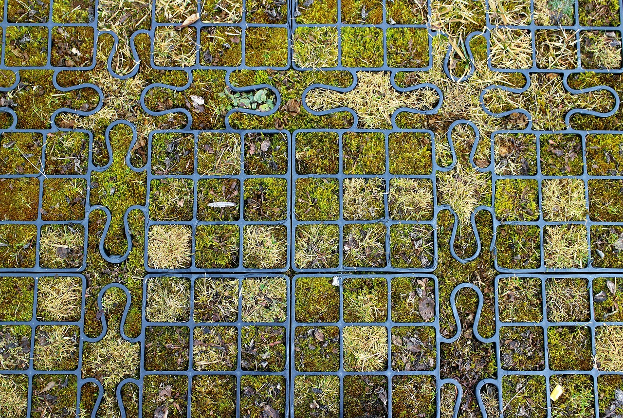 module-rasengitter-Antranias-pixabay Pflanze wächst durch Asphalt