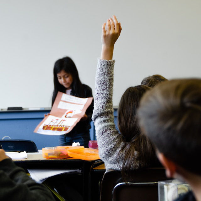 schule-taylor-flowe-unsplash
