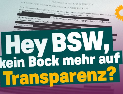 Transparenzplattform verschoben: Minderheitskoalition will Transparenzgesetz beerdigen
