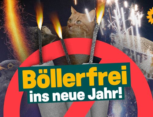 Böllerfrei ins neue Jahr: Tiere und Umwelt schützen, Rettungskräfte entlasten