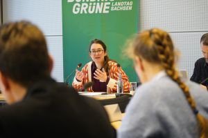 Claudia Maicher diskutiert im Fachgespräch Kulturraumgesetz