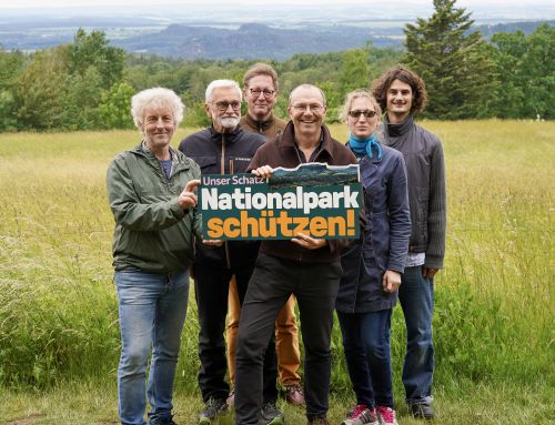 Bündnisgrünes Praxisforum setzt Impuls für die Nationalparkregion Sächsische Schweiz